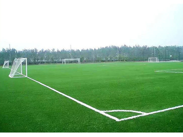 Precio de la hierba artificial del fútbol del césped artificial del fútbol del piso del gimnasio, hierba artificial interior usada gimnasio verde para el gimnasio